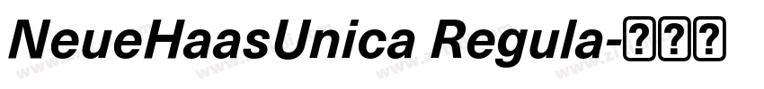 NeueHaasUnica Regula字体转换 NeueHaasUnica Regula字体转换